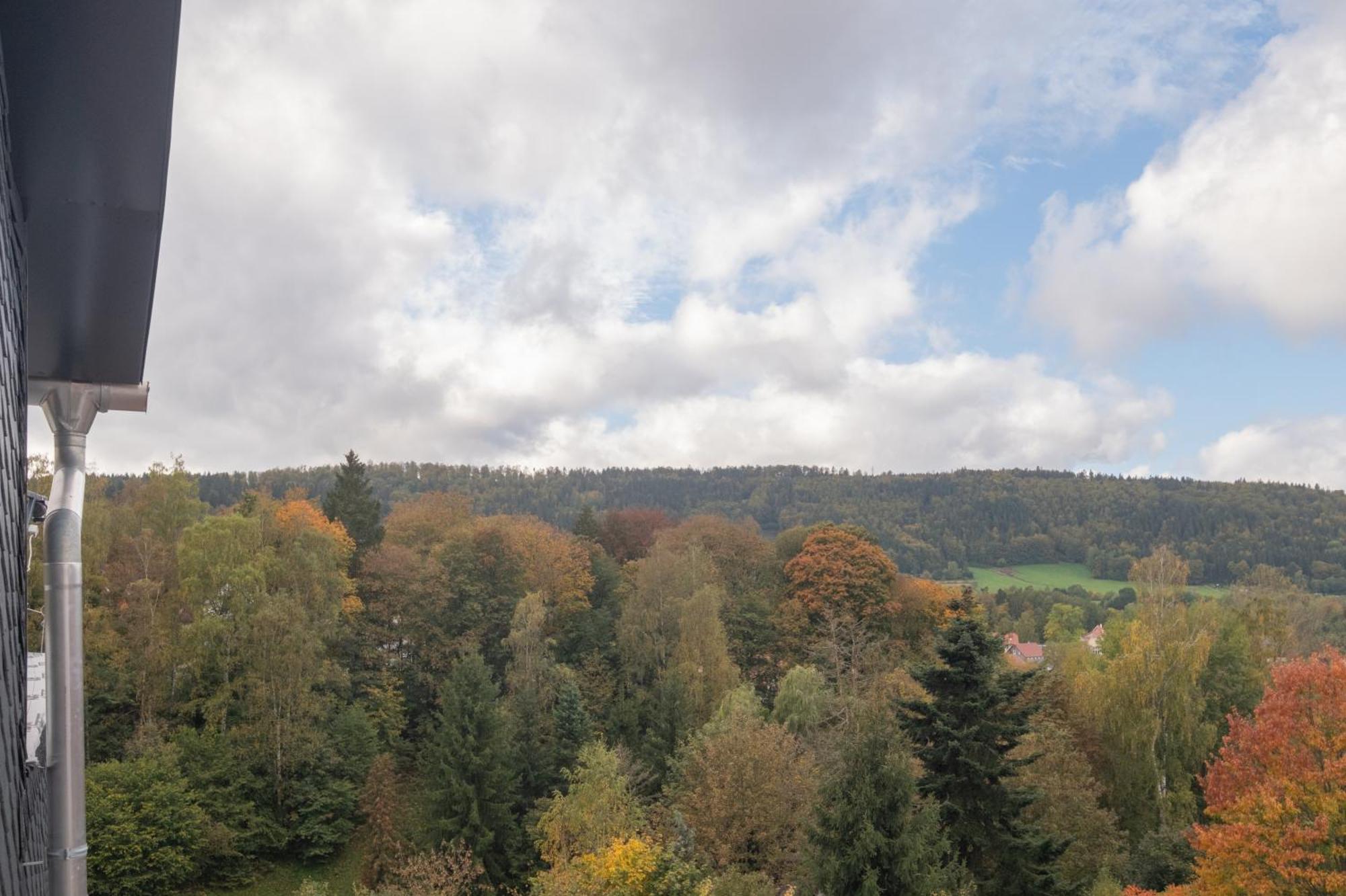 Pfaffentalblick Apartment Zella-Mehlis